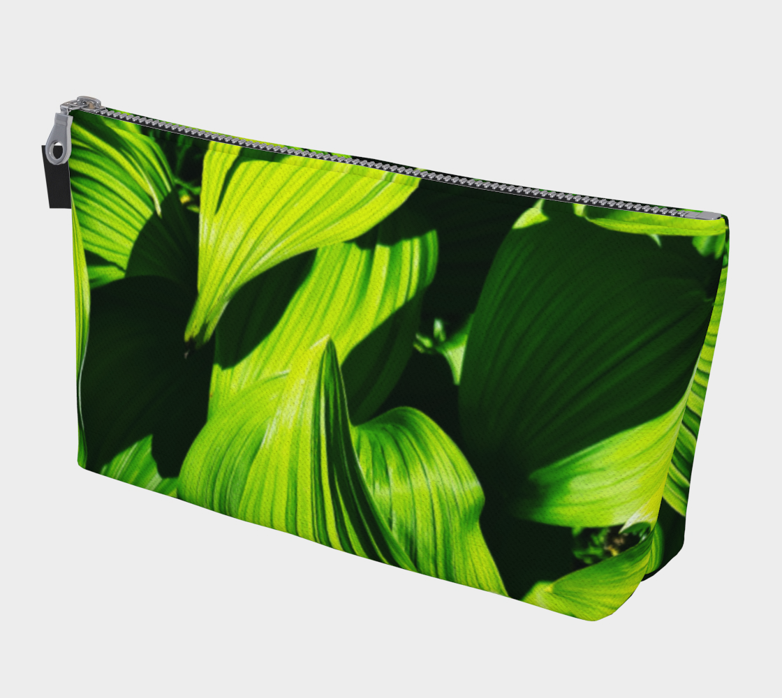 leaves
