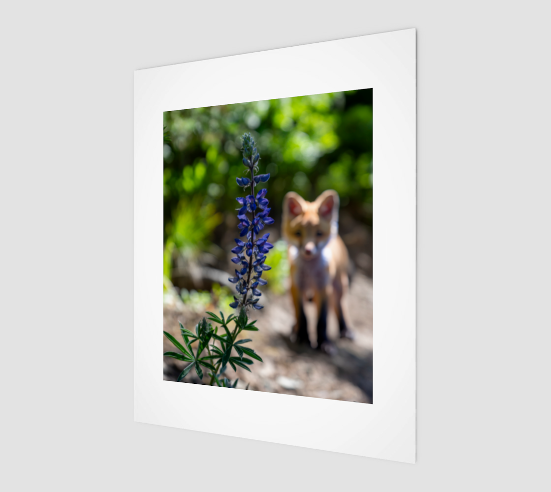 Fox Adventures 8''x10'' Print