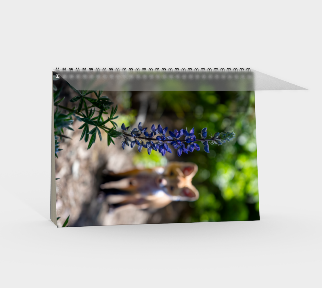 Fox Adventures spiral notebook